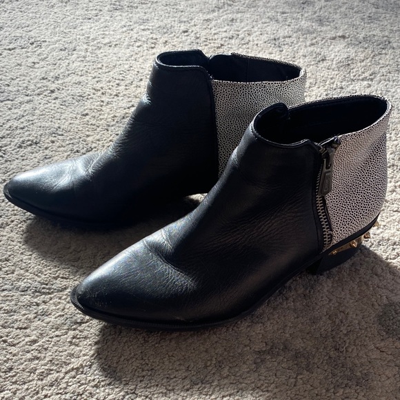 Circus by Sam Edelman Black and Gray Studded Ankle Booties - Picture 3 of 10
